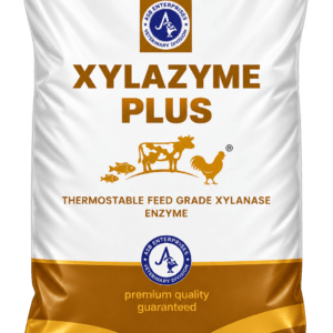 XYLAZYME PLUS